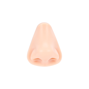 A Pound of Flesh - Nez pour Tatouage, maquillage permanent et piercing