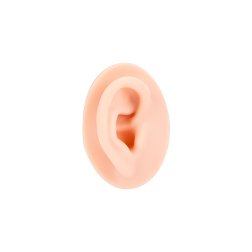 A Pound of Flesh - Oreille droite pour tatouage, maquillage permanent et piercing