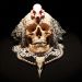 Boris Tattoo of Hungary - Skull References Volume 2 (Photos références de crânes sur carte USB)