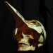 Boris Tattoo of Hungary - Skull References Volume 1 (Photos références de crânes sur carte USB)