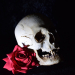 Opium Tattoo Gallery - Photos Références USB de Crânes et Roses par Filip Pasieka