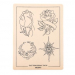 Peau d'Entrainement pour Tatouage - Motifs Fleurs et Astres (14,5 x 19,5cm)