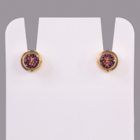 Boucles d'oreilles standard Studex pour piercing plaquées or - Juin/Alexandrite