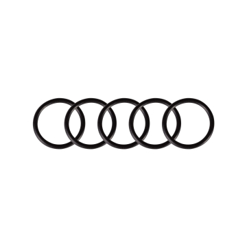 Pack de 5 anneaux O-Rings pour Cheyenne Thunder et Spirit