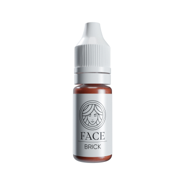 FACE Pigments - Brows Basic Line Corrector - Brick
