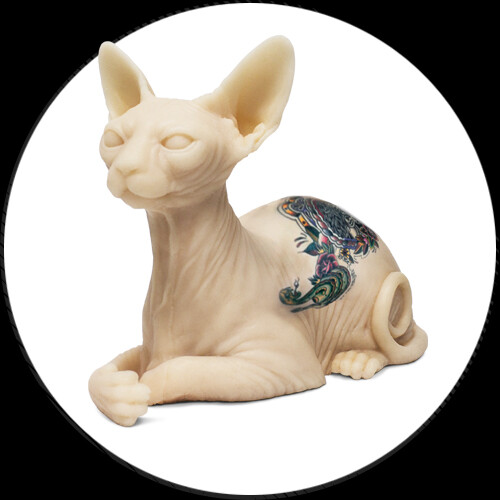 Chat Sphynx Inkenstein En Silicone Tatouable Machine Tatouer Chat Sphynx Inkenstein En Silicone Tatouable Machine Tatouer