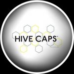 Godets et Gobelets Hives
